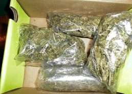 Montenegrin Busted With 15kgs Of Marijuana In Vrgorac