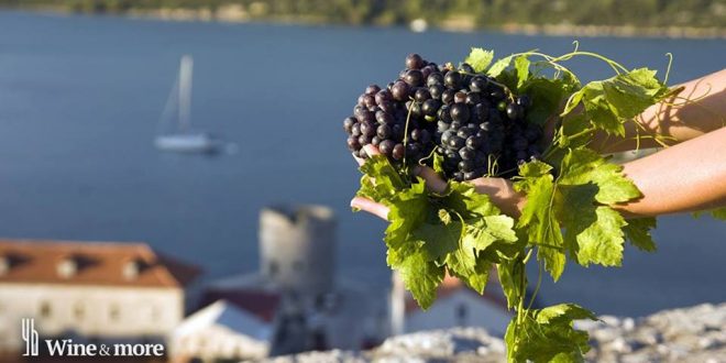 [INFOGRAPHIC] Croatian Wine Map - Wine Regions of Croatia | Croatia Week