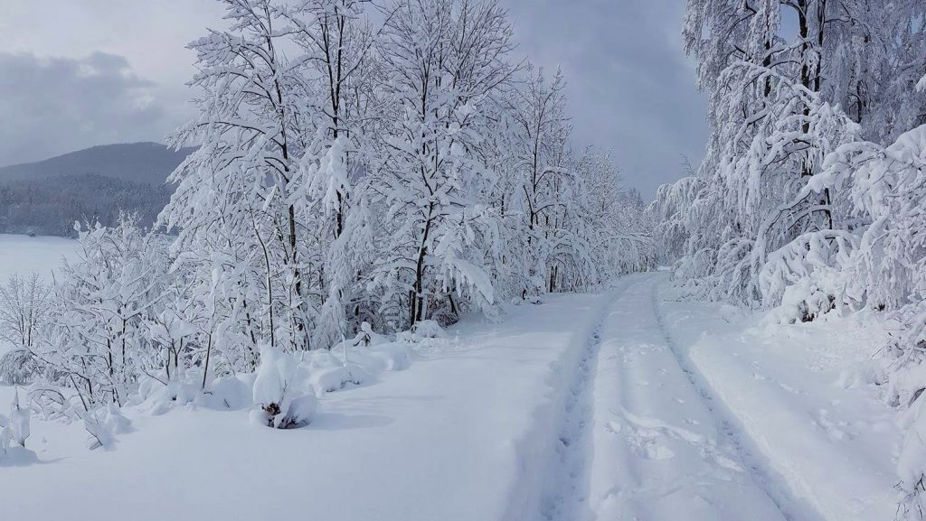 [PHOTOS] Winter Arrives with Stunning Snow Fall for Parts of Croatia ...