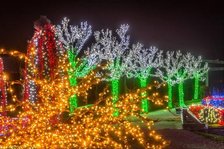 Croatian Family Christmas Park to Open with Record 2.5 Million Lights ...