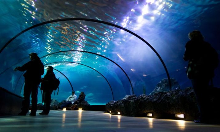 Underwater tunnel set to be new tourist attraction in Primošten