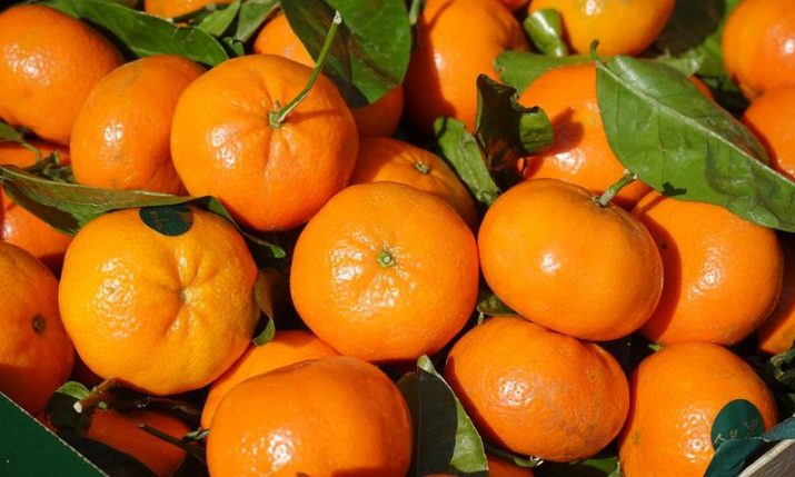 Darijo Srna donates 15 tonnes of mandarins to Croatian hospitals, HNS gives HRK 200,000 to Varazdin hospital