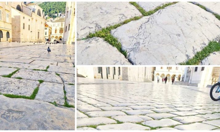 PHOTOS: Grass grows on Dubrovnik’s famous stone-paved street Stradun 