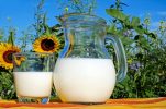 Croatians are big milk drinkers, survey reveals