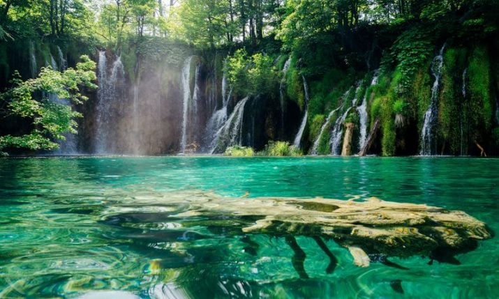 Croatia a nation very rich in biodiversity | Croatia Week