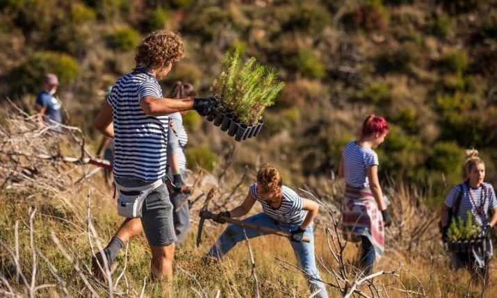 Volunteers plant 3,000 tree seedlings in wildfire-affected area in Dalmatia