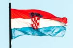 International Mother Language Day: Croatian declared official language 176 years ago 