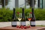 A celebration of top Croatian sparkling wines and strawberries in Plešivica