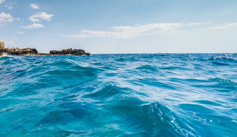 VIDEO: Crew spots Mediterranean monk seal in Croatian waters giving hope for the endangered species’ return