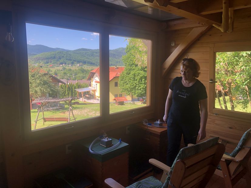 Visiting the Unique Croatian Bee Farm: A Haven of Honey and Healing