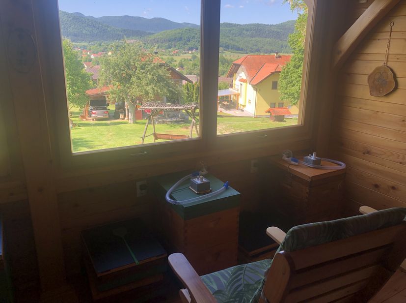 Visiting the Unique Croatian Bee Farm: A Haven of Honey and Healing