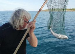 Most poisonous fish in the world caught off Croatian island 