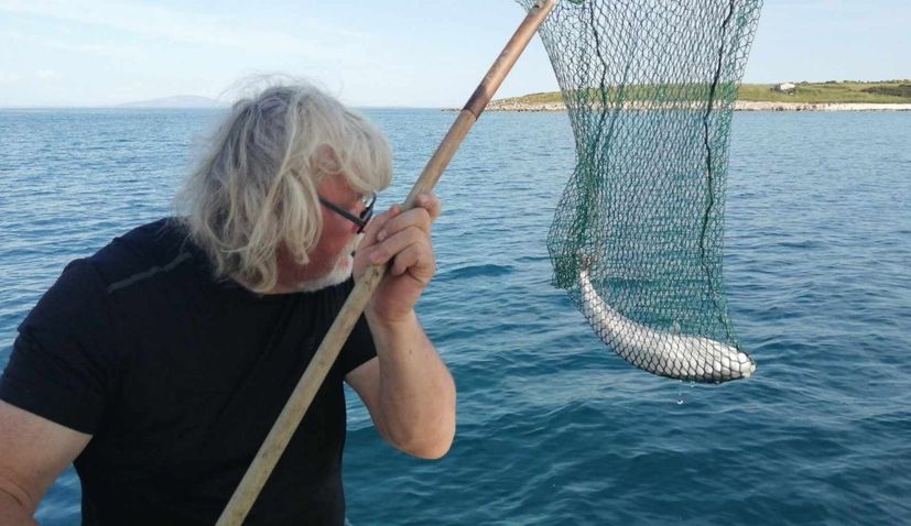 Most poisonous fish in the world caught off Croatian island 