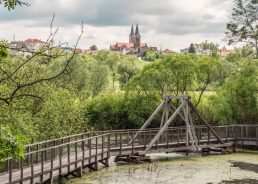 Visiting Čazma: From Croatia’s first biological pool to treetop walks