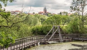 From Croatia’s first biological pool to treetop walks