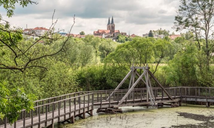 Visiting Čazma: From Croatia’s first biological pool to treetop walks