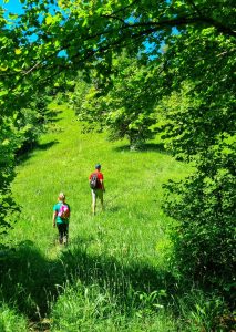 Nature in the surroundings of Brod Moravica