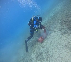 Diver removing rubbish from Loviste Bay