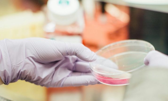 Europe’s only elite Legionella detection lab in Croatia