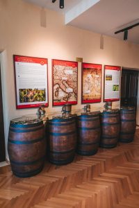 Wine museum in Dubrovnik