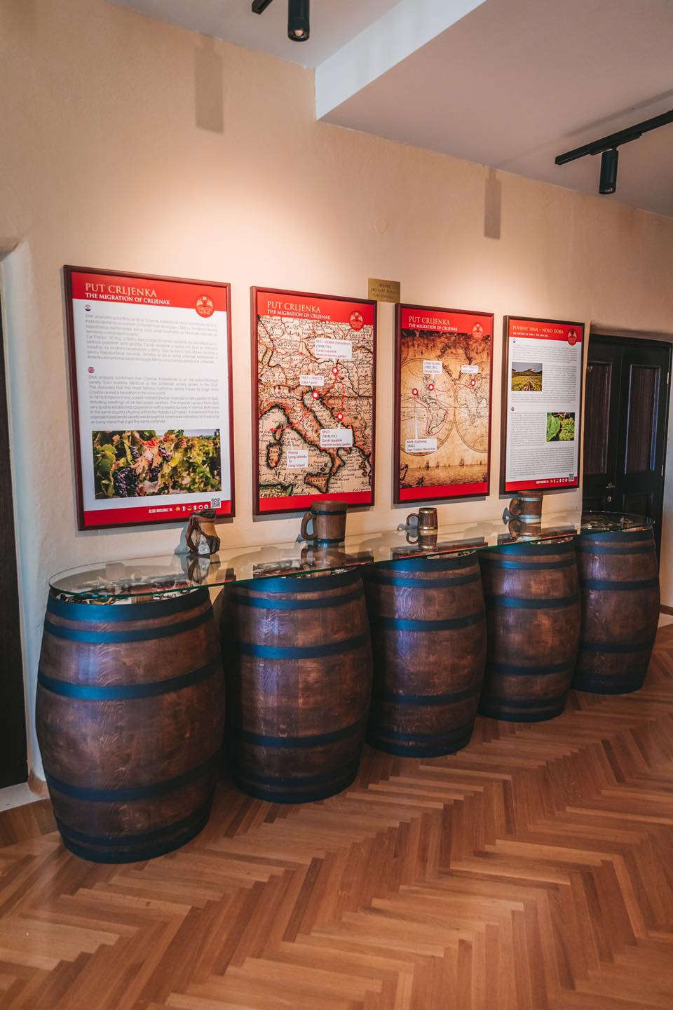 Wine museum in Dubrovnik 