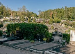 Burial plots in Croatia: A scarce and pricey commodity