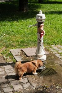 Pump water in Zagreb