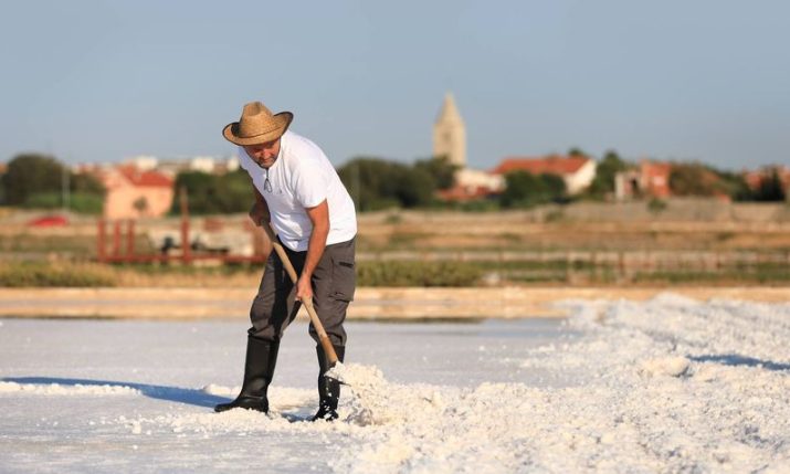 Salt Festival in Nin – A unique experience