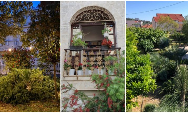 PHOTOS: Most beautiful gardens and balconies in Trogir named 