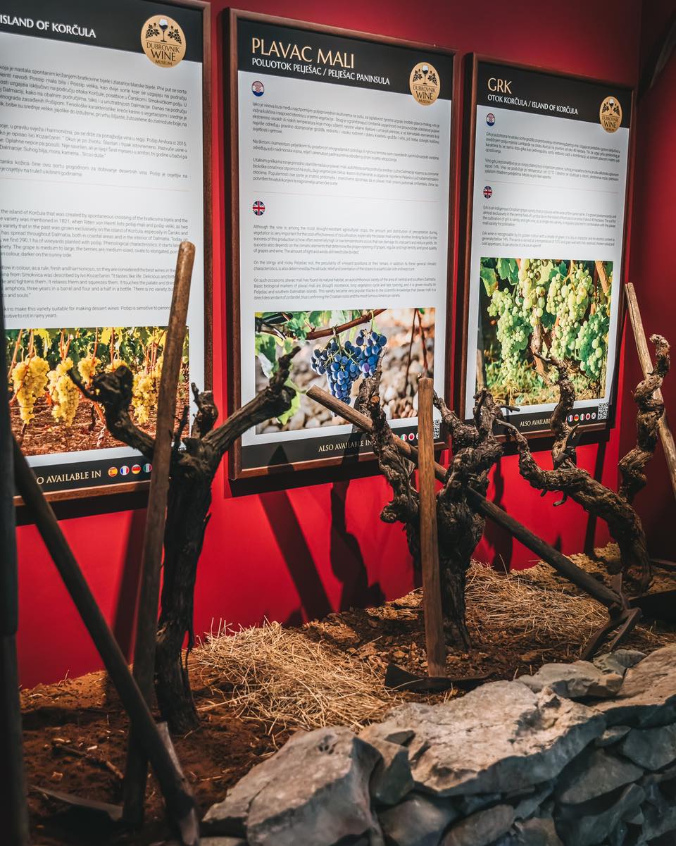 Wine museum in Dubrovnik 