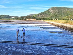 Salt Festival in Pelješac.