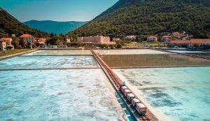 Salt Festival in Pelješac.