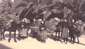 Old photo of Korcula from book Greetings from Forgotten Dalmatia.