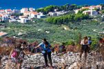 Life restored to burned forests on Croatia’s Biokovo