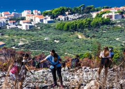 Life restored to burned forests on Croatia’s Biokovo