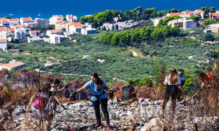 Life restored to burned forests on Croatia’s Biokovo