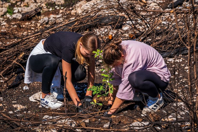 Two hundred volunteers, scouts, and foresters from Croatian Forests took part this Saturday in reforesting a fire-ravaged forest in Biokovo Nature Park