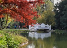 Maksimir Park celebrates 230 years with return of boat rides