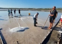 Free salt harvesting offered at Pag saltworks