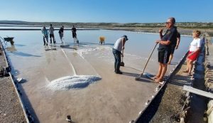 salt harvesting at Pag saltworks