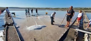 salt harvesting at Pag saltworks