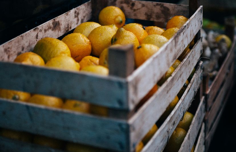 Lemons in Croatia