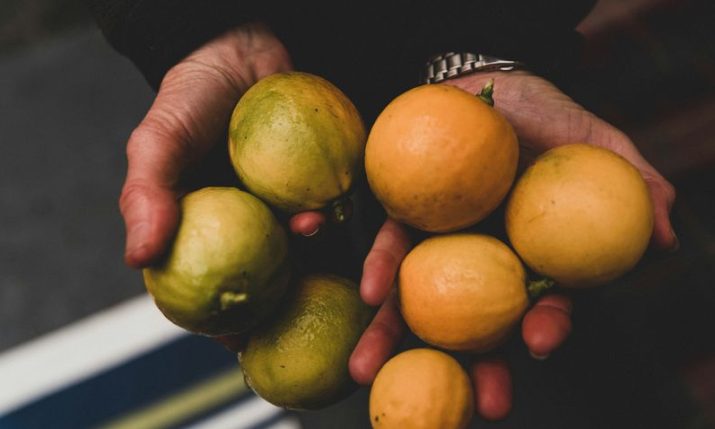 What’s happened to the lemons? A sour problem for Croatia