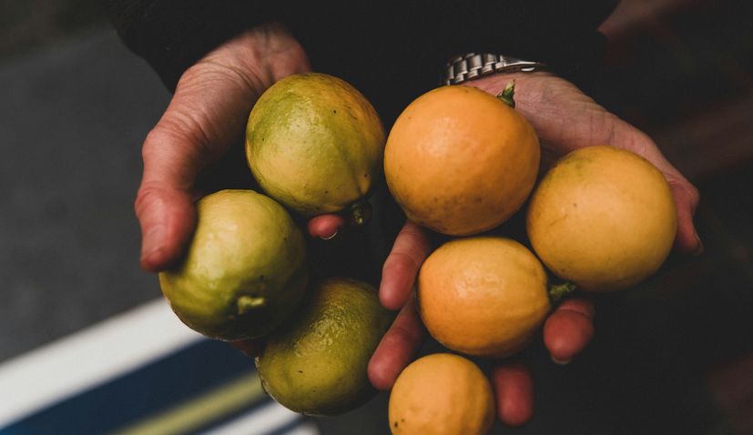 Lemons in Croatia