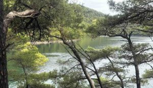 Unusual whirlpools at Mljet National Park