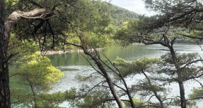 PHOTOS: Rare freshwater springs appear at Mljet National Park