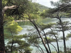 Unusual whirlpools at Mljet National Park