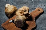 Istria’s autumn delicacy: A look at upcoming truffle festivals