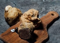 Istria’s autumn delicacy: A look at upcoming truffle festivals