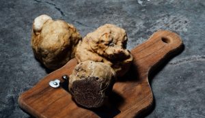 White truffles in istria